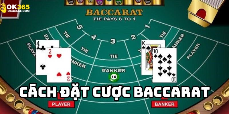 Các bước tham gia Baccarat tại OK365 dễ dàng, nhanh chóng