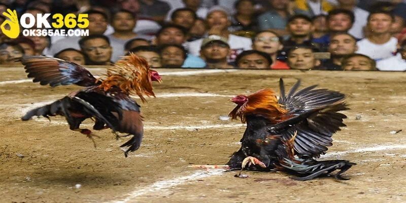 Tựa game có luật chơi đơn giản