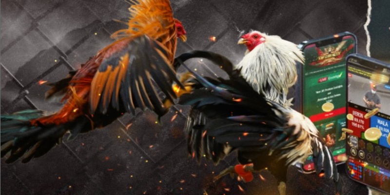 Thời gian thi ở miền Bắc khác hơn so với miền Nam và miền Trung