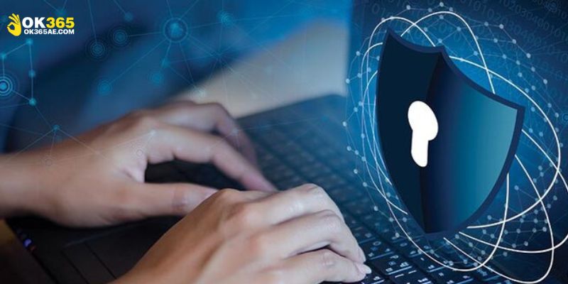 Tầm quan trọng của chính sách quyền riêng tư tại OK365