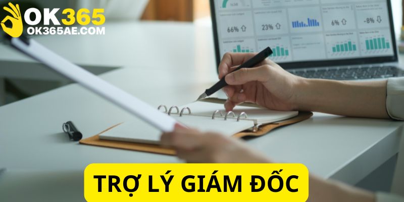 Chúng tôi tìm kiếm ứng viên tiềm năng cho vị trí trợ lý Giám đốc